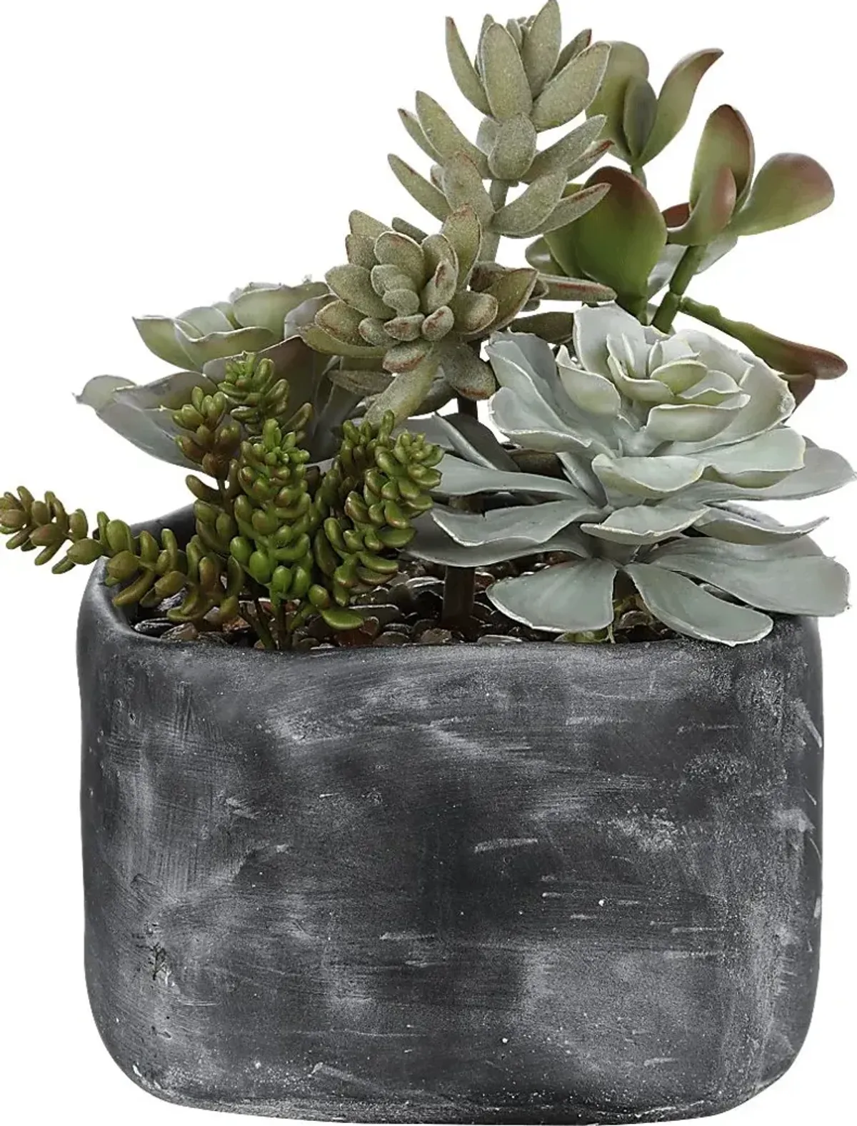 Dezlyn Gray Decorative Plant