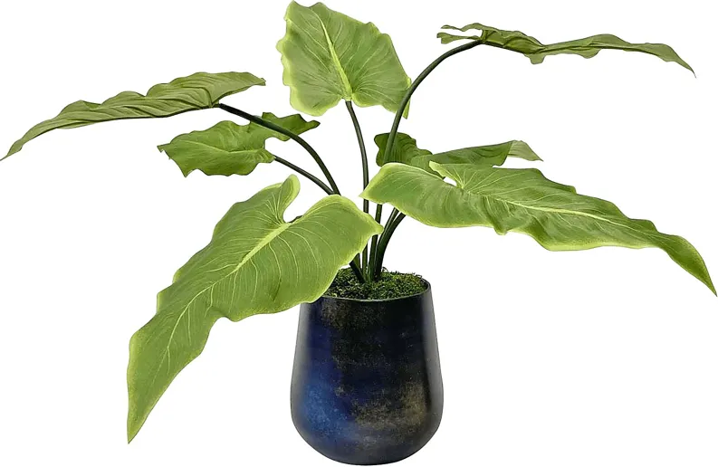 Vanisia Blue Decorative Planter