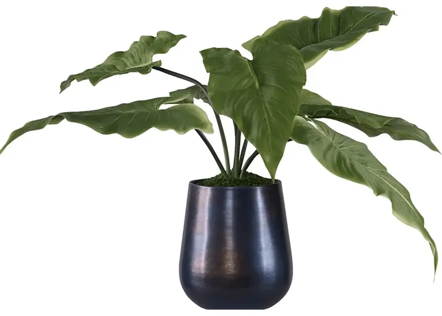 Vanisia Blue Decorative Planter