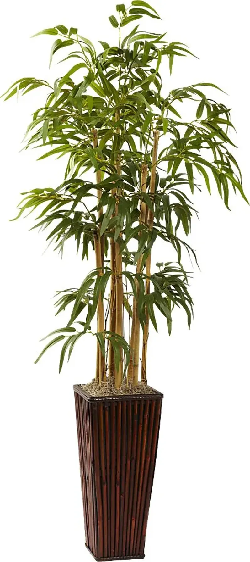 Tayna Green Bamboo Silk Tree