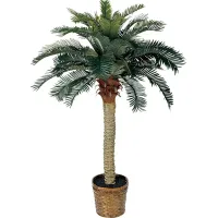 Hendrik Green Palm Silk Tree
