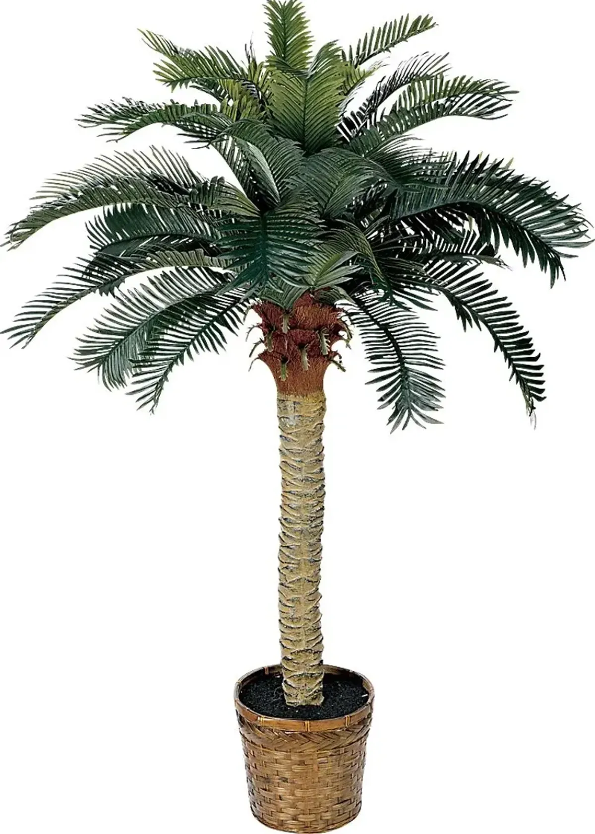 Hendrik Green Palm Silk Tree