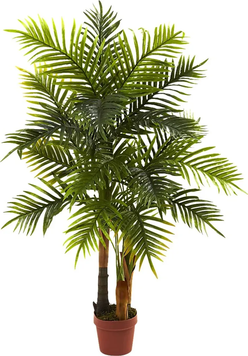 Eiza Green Palm Silk Tree