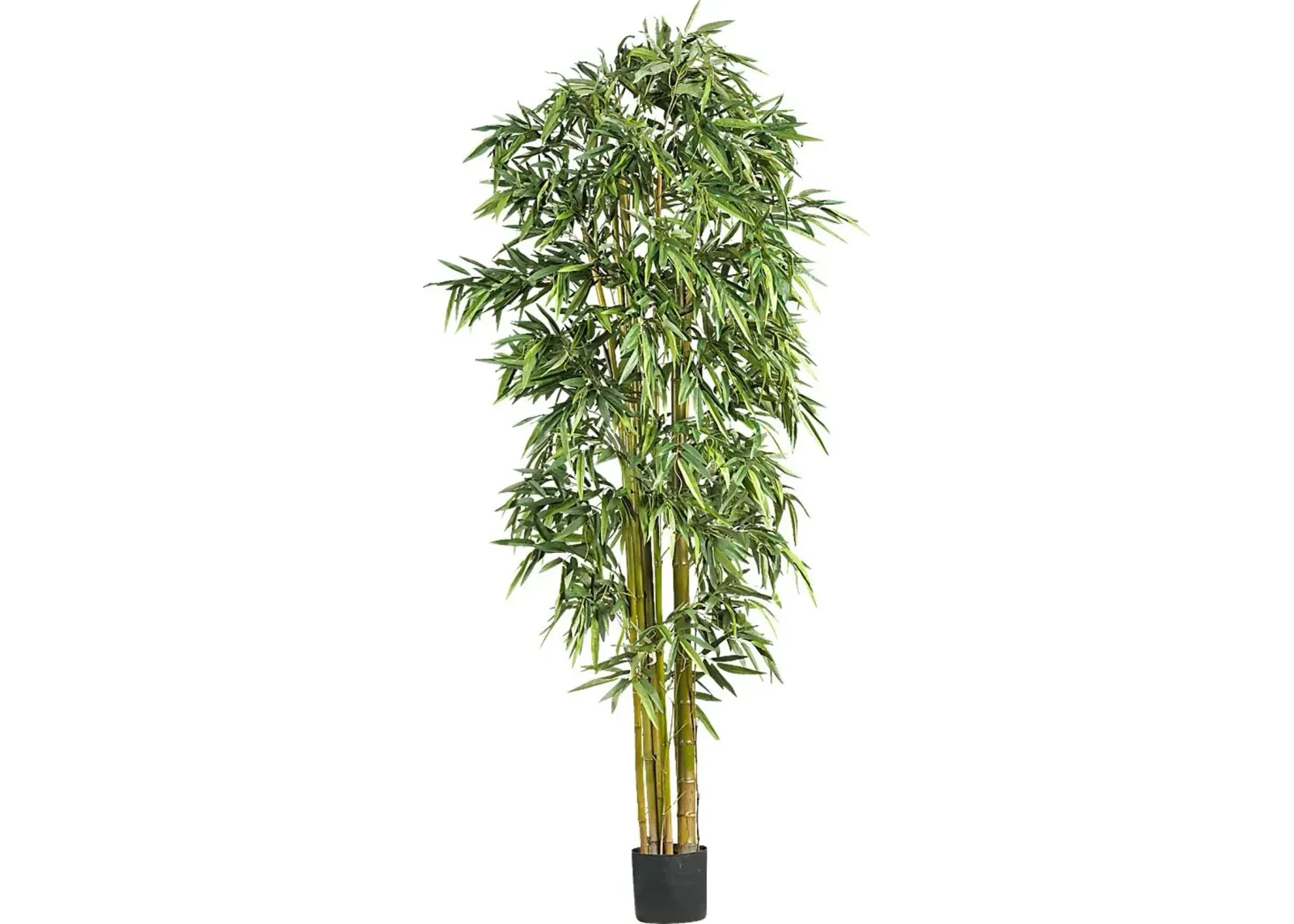 Kodha Green Bamboo Silk Tree