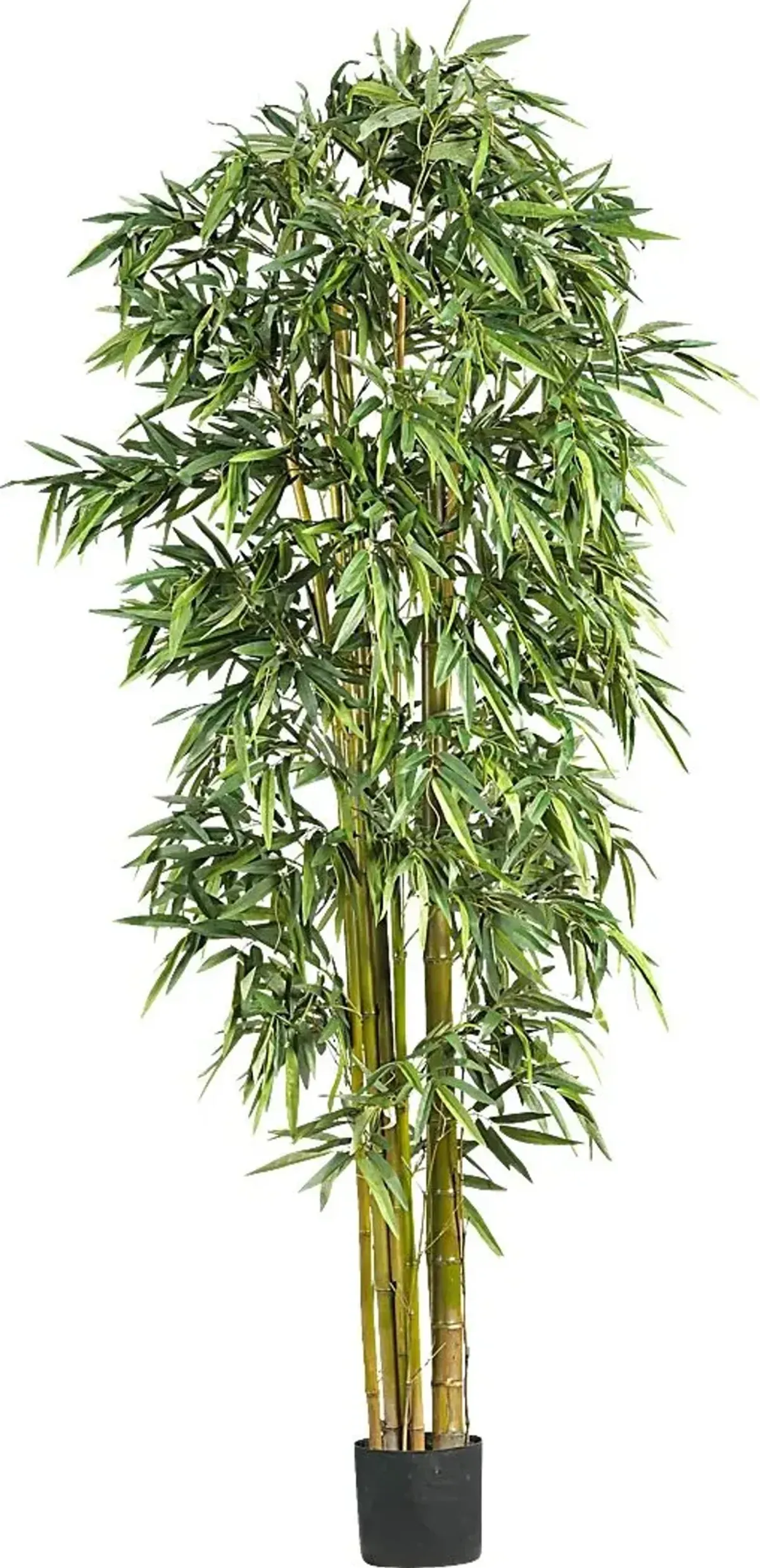 Kodha Green Bamboo Silk Tree