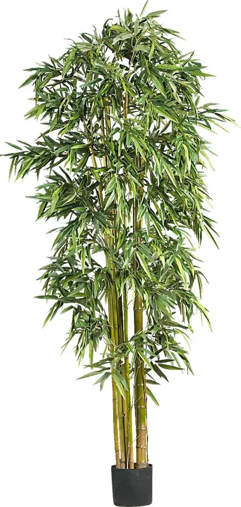 Kodha Green Bamboo Silk Tree