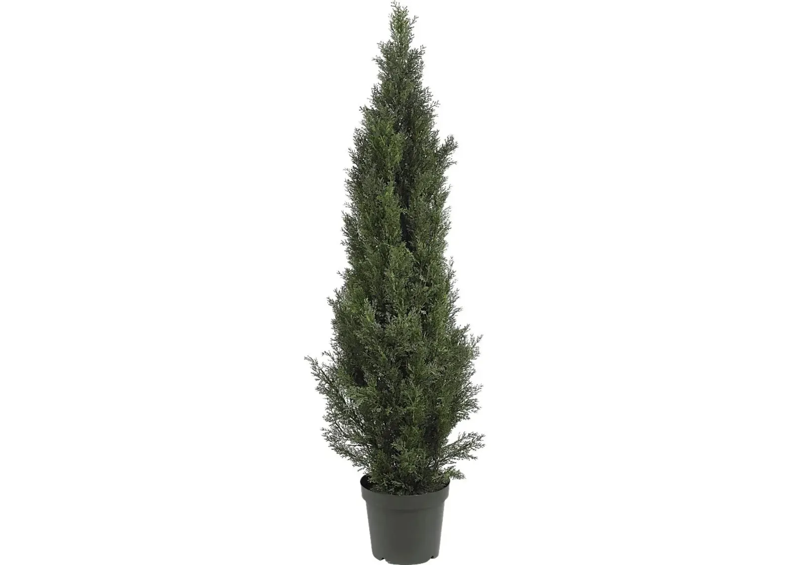 Brinlee Green Cedar Indoor/Outdoor Silk Tree