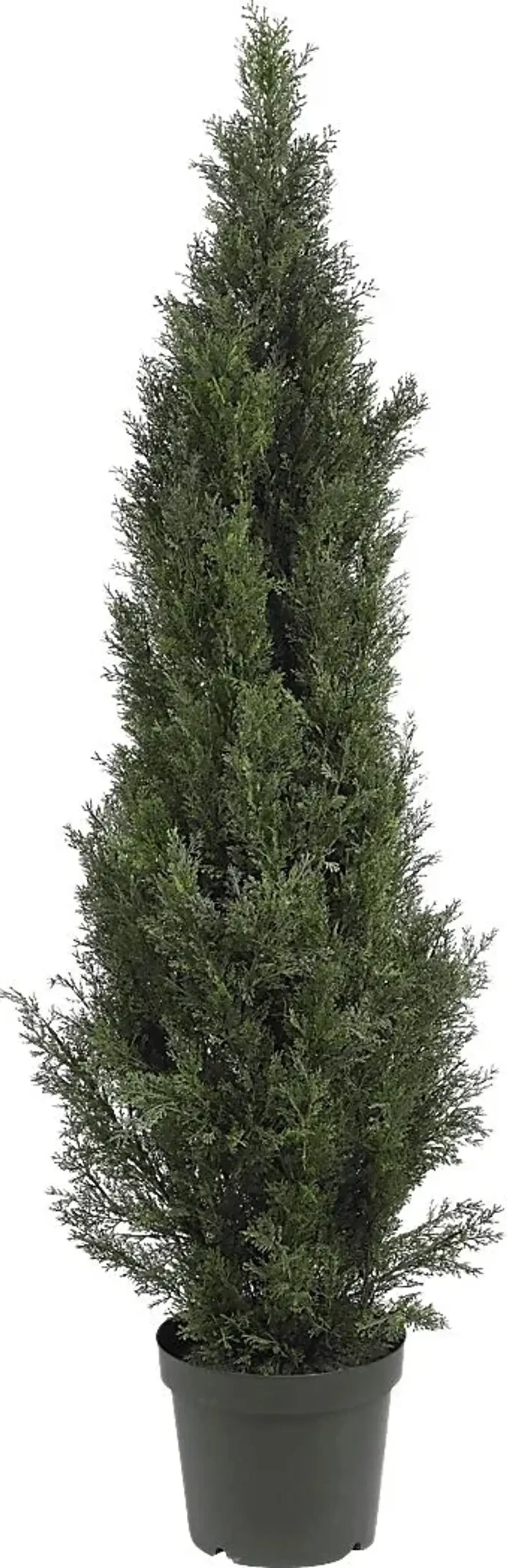 Brinlee Green Cedar Indoor/Outdoor Silk Tree