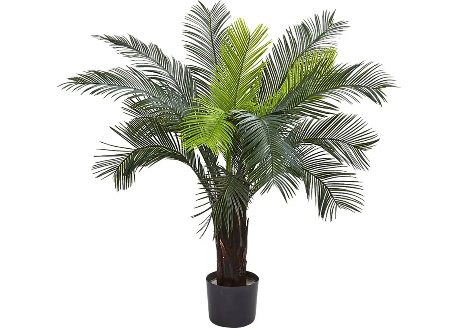 Markayla Green Cycas Indoor/Outdoor Silk Tree