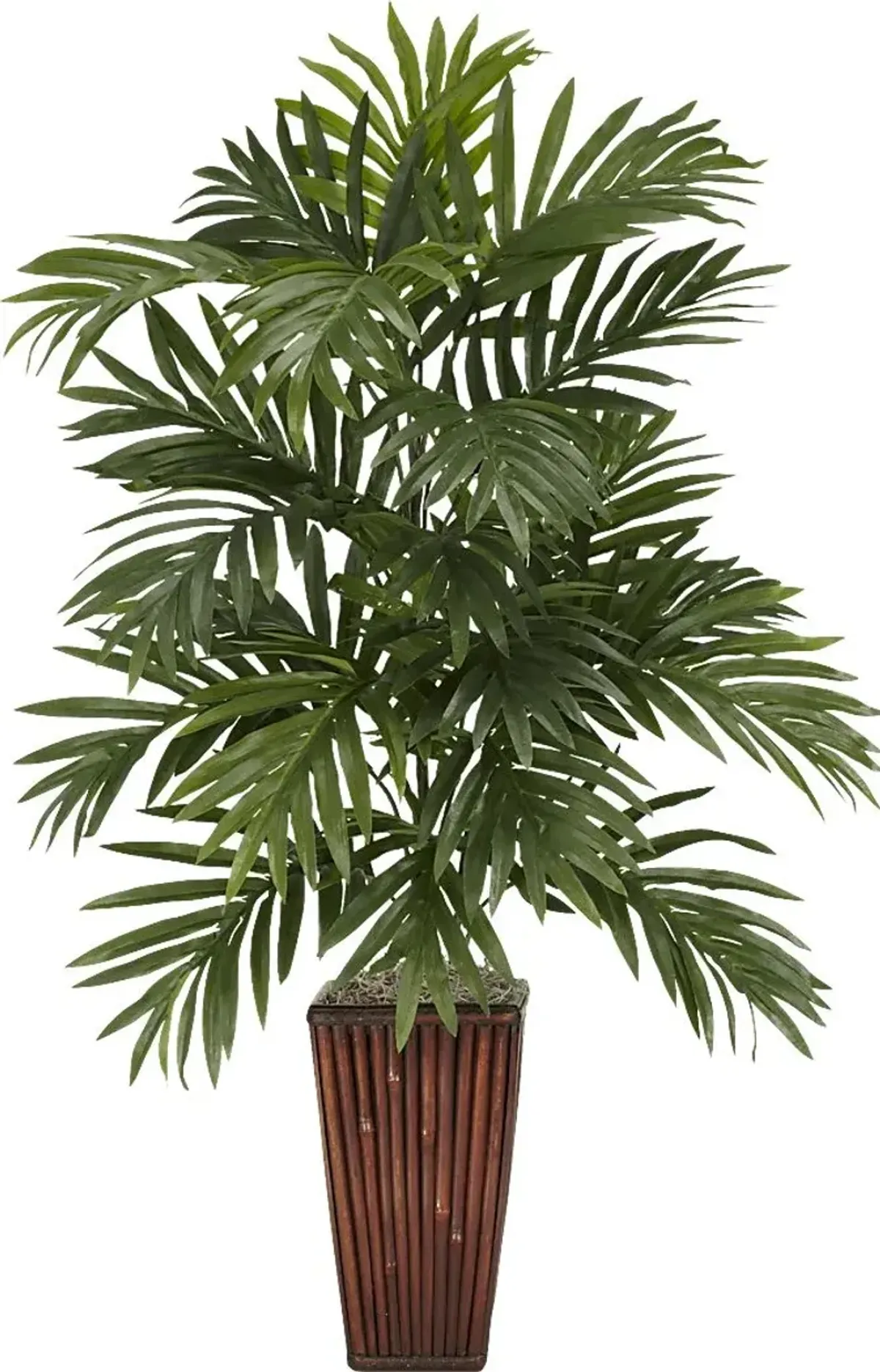 Shyia Green Palm Silk Tree