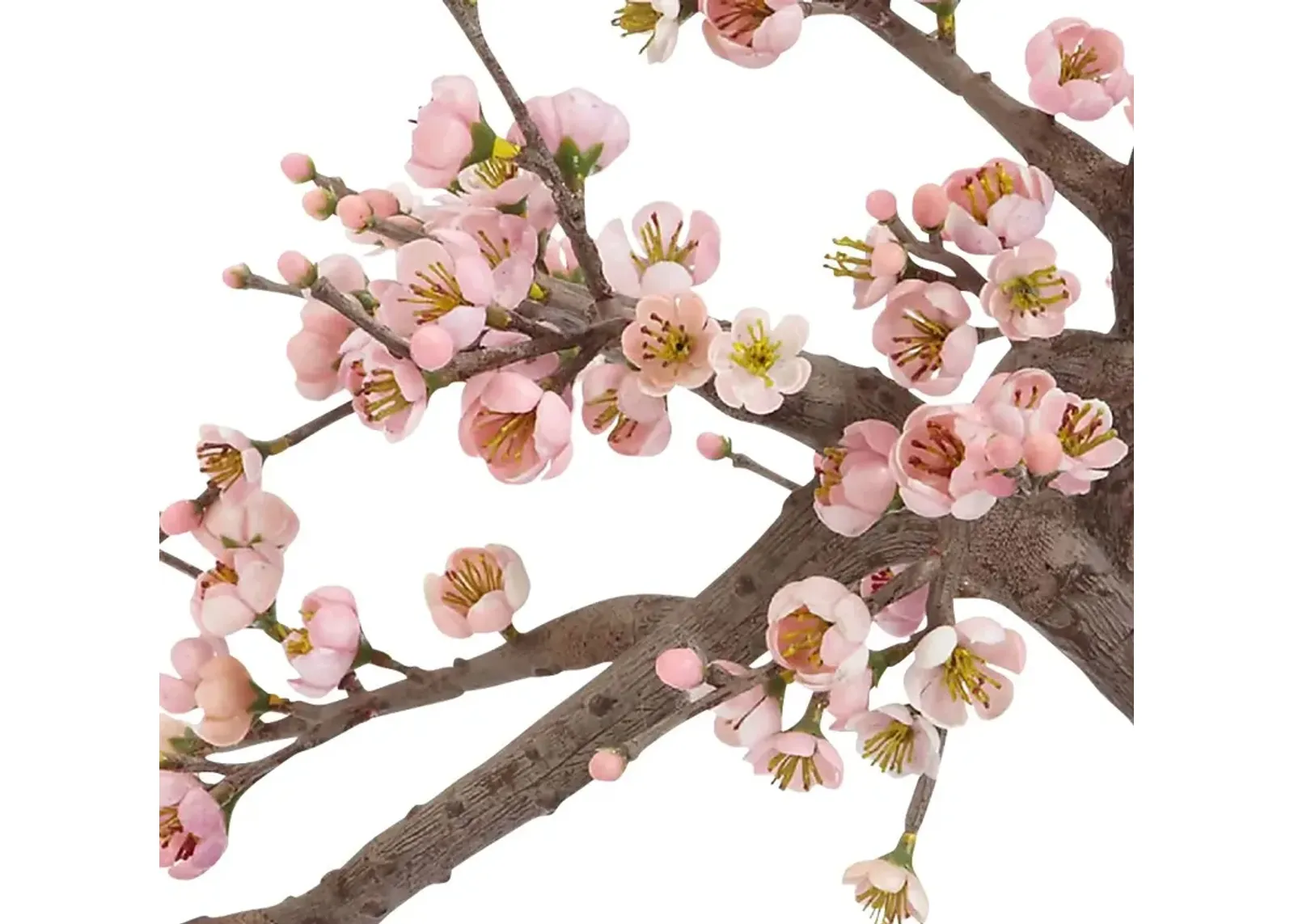 Miyah Pink Cherry Blossom Silk Tree