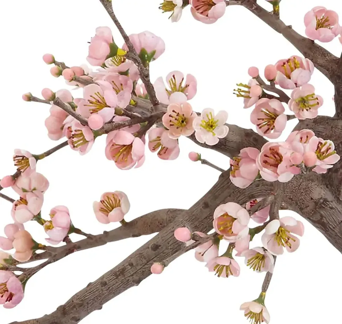 Miyah Pink Cherry Blossom Silk Tree