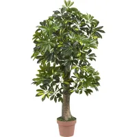 Monta Green Schefflera Silk Tree