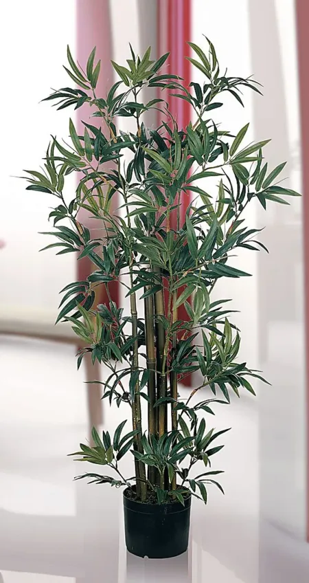 Akira Green Bamboo Silk Tree
