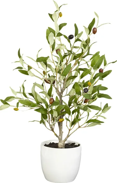 Kyden Green Olive  Set of 2 Silk Tree