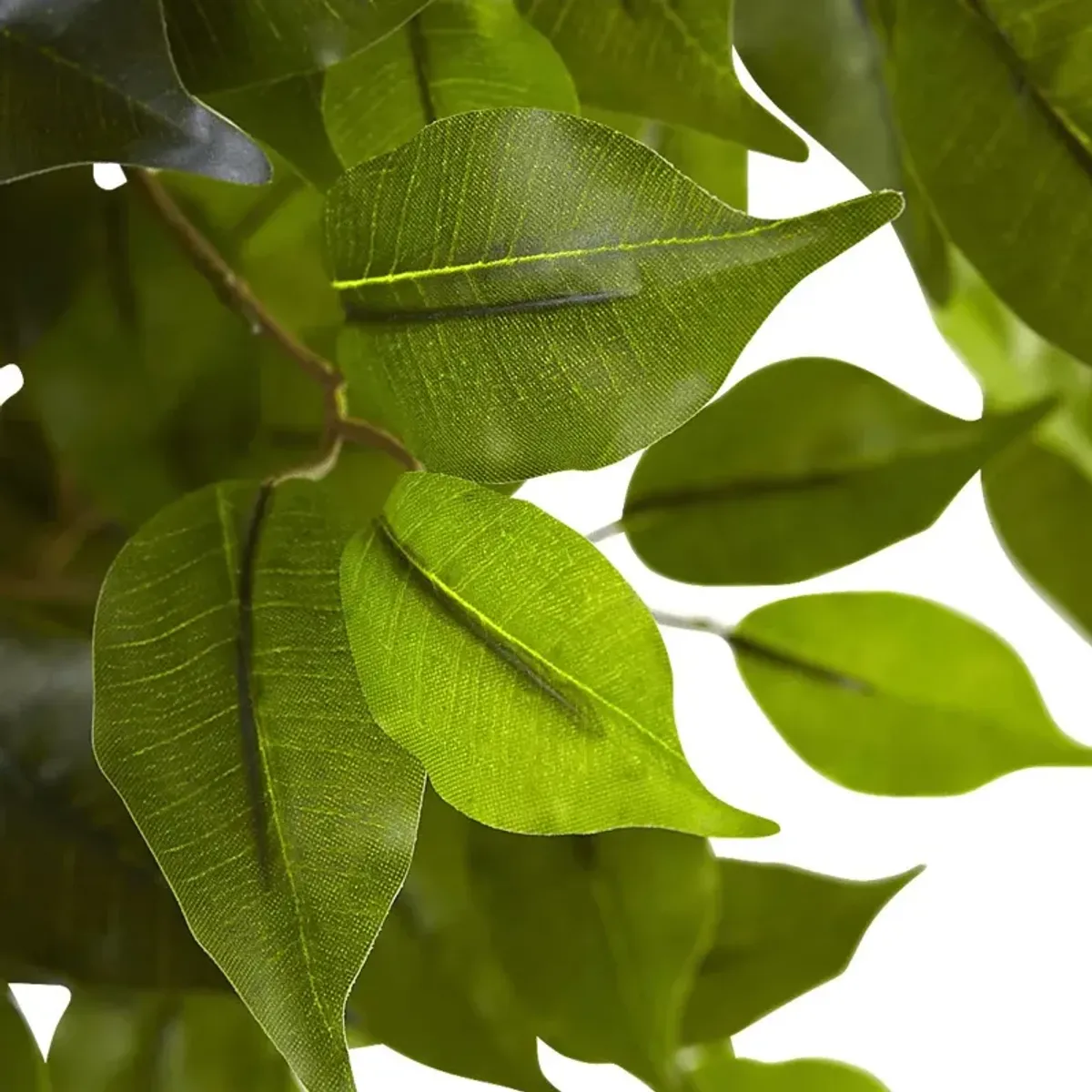 Skylia Green Ficus Indoor/Outdoor Silk Tree