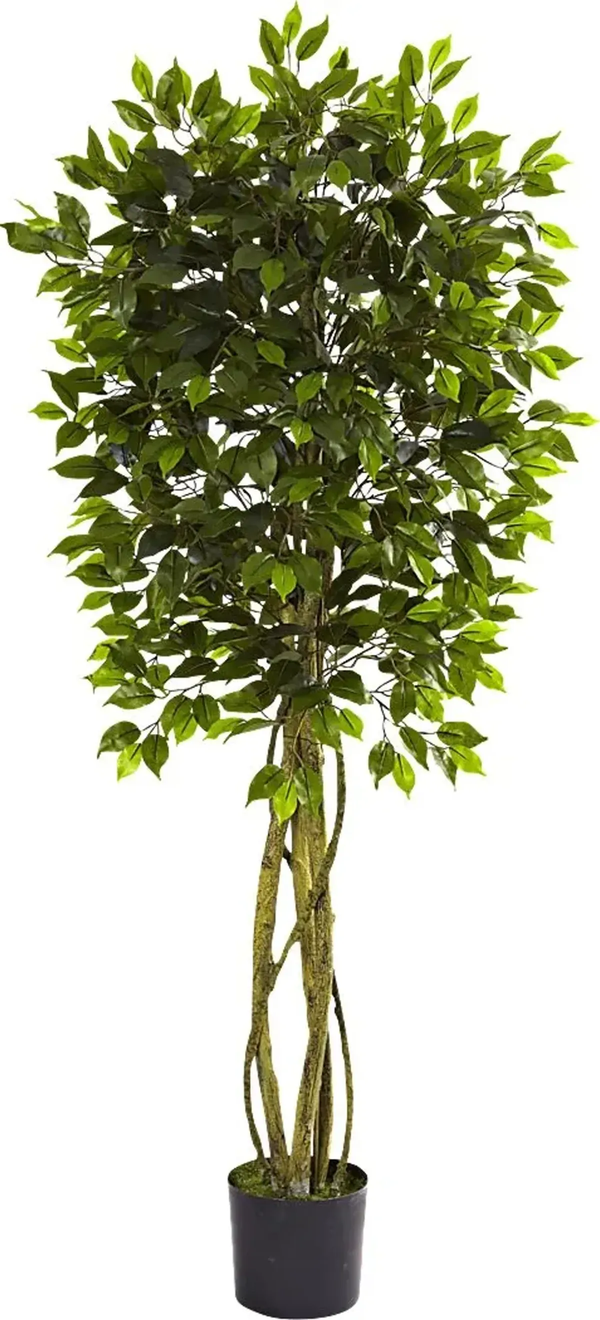 Skylia Green Ficus Indoor/Outdoor Silk Tree