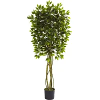 Skylia Green Ficus Indoor/Outdoor Silk Tree
