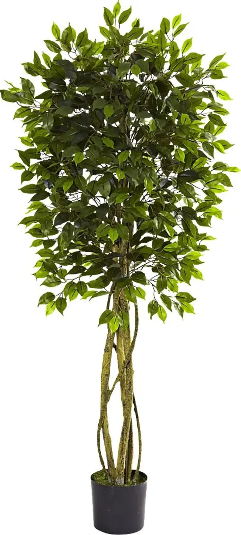 Skylia Green Ficus Indoor/Outdoor Silk Tree