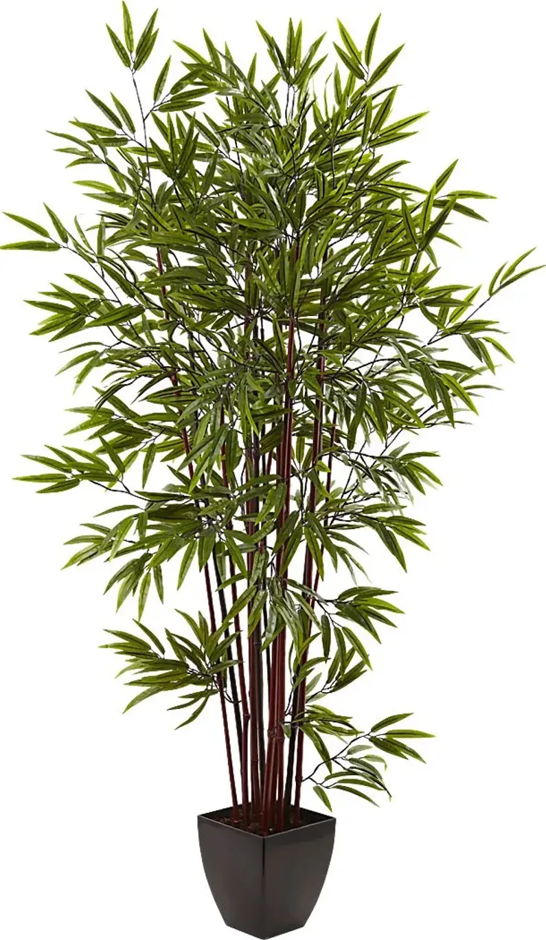 Kaysen Green Bamboo Silk Tree