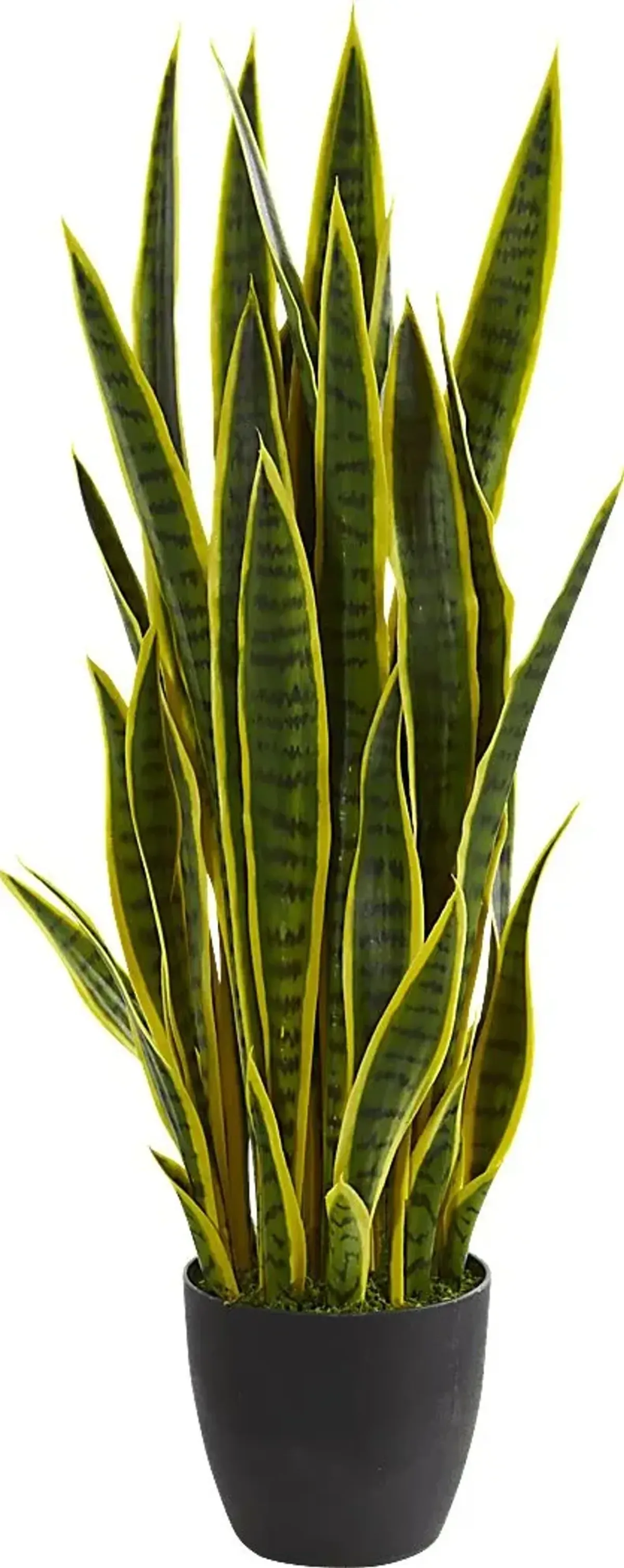 Tiesha Green Sansevieria Silk Plant