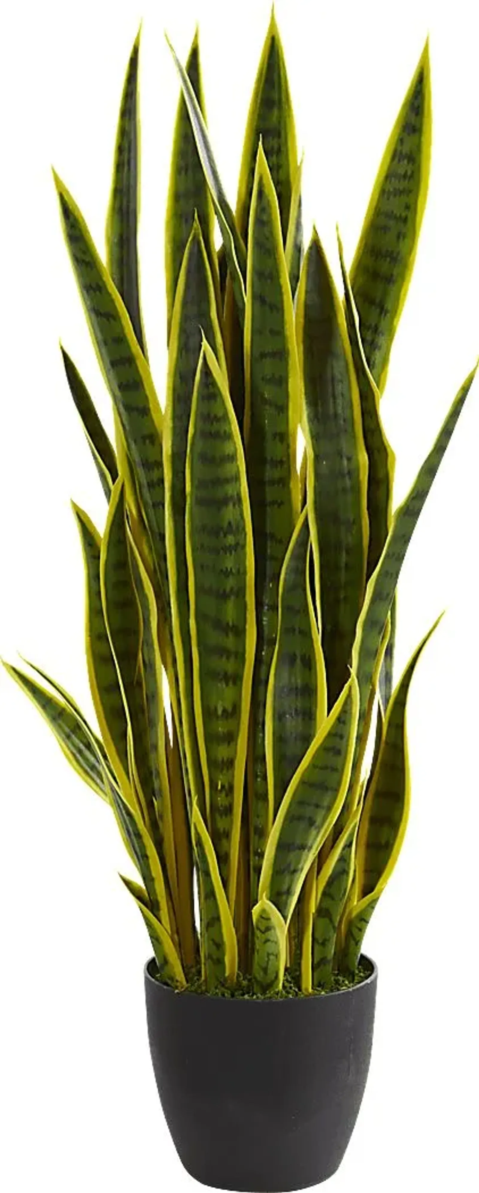 Tiesha Green Sansevieria Silk Plant