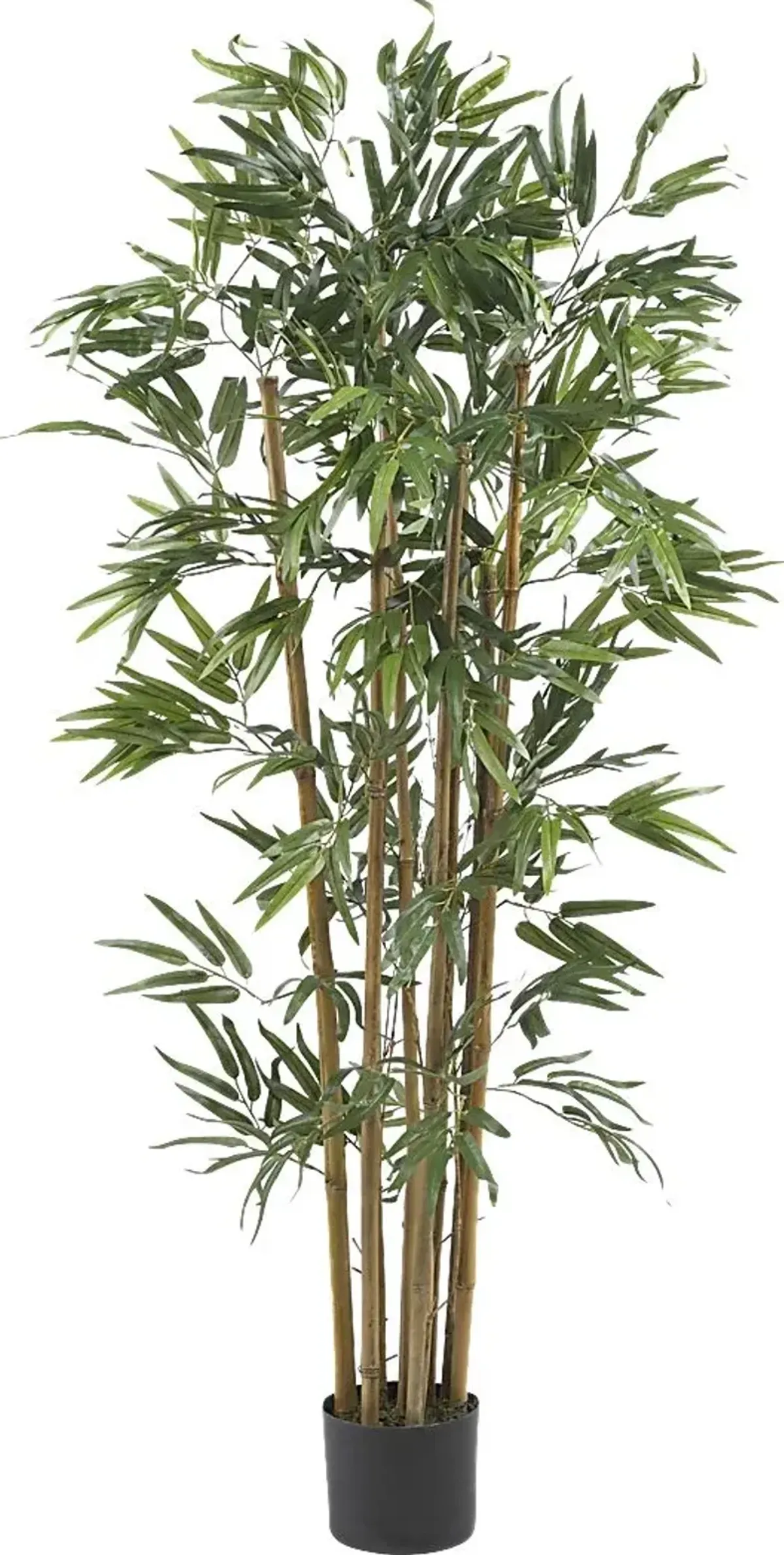 Satoru Green Bamboo Silk Tree