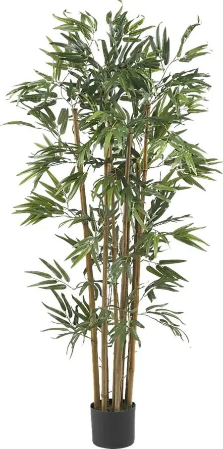 Satoru Green Bamboo Silk Tree