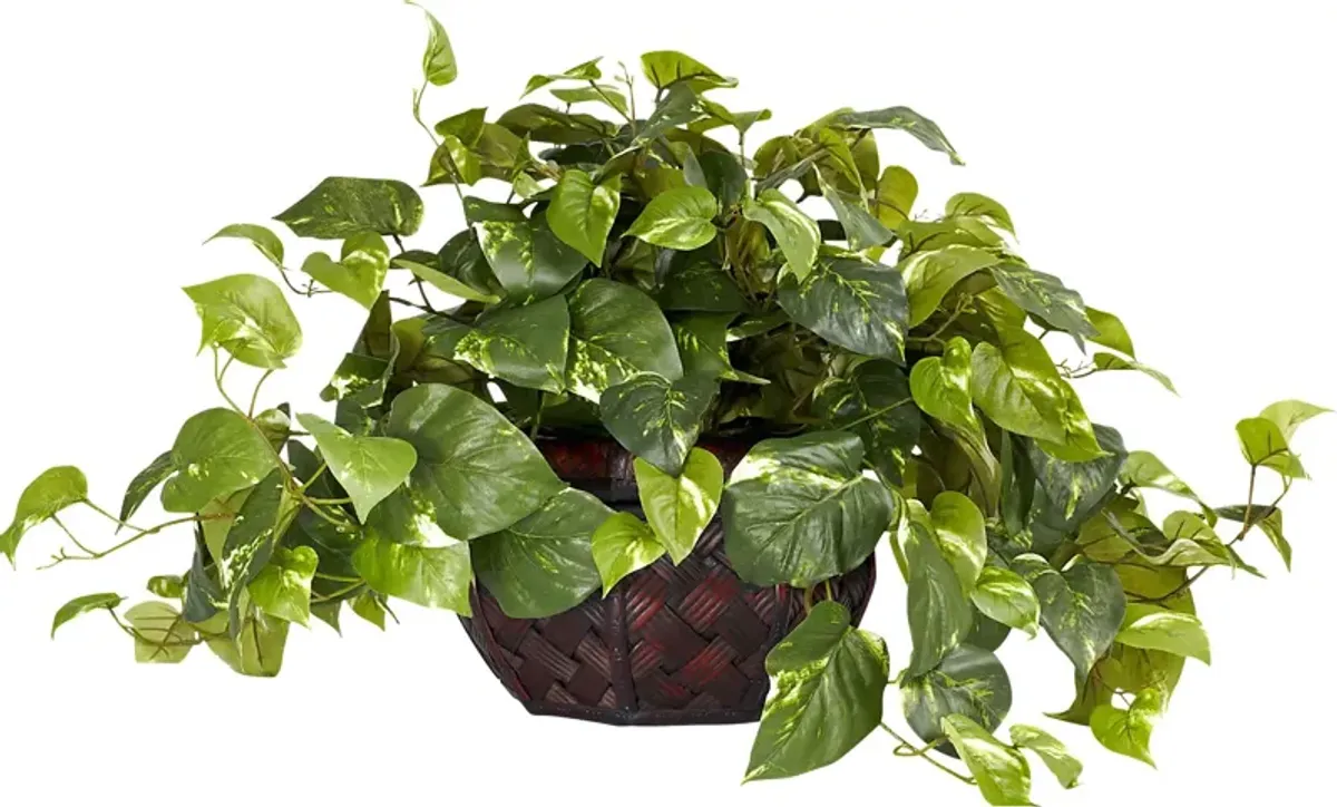 Taleah Green Pothos Silk Plant