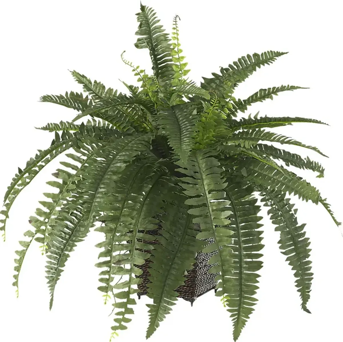Emelia Green Fern Silk Plant