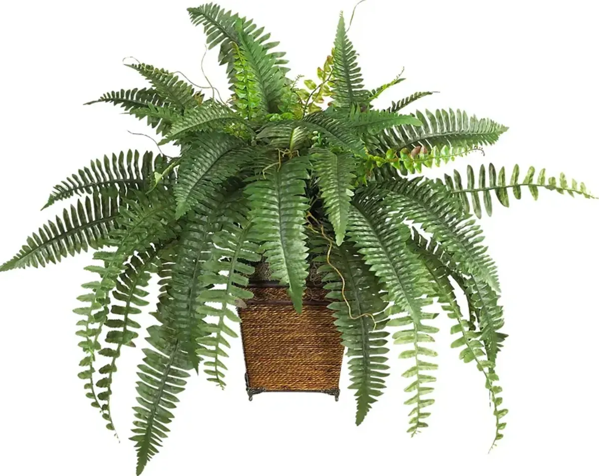 Emelia Green Fern Silk Plant