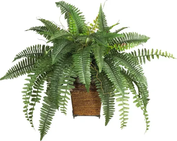 Emelia Green Fern Silk Plant