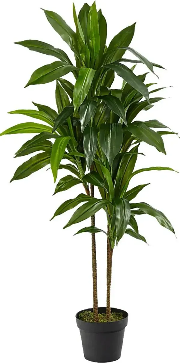 Darian Green Dracaena Silk Tree