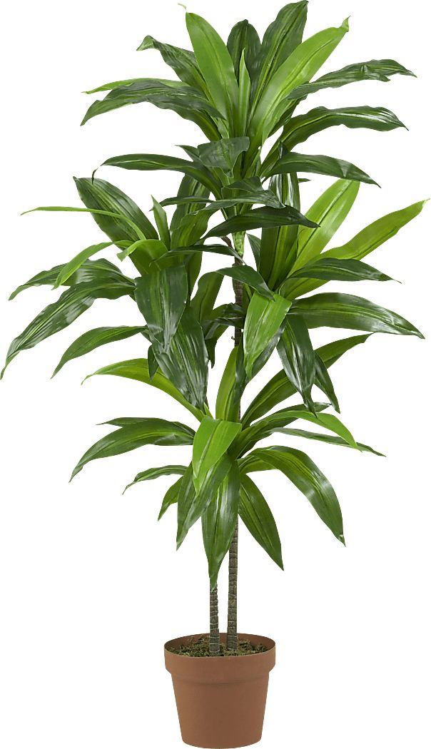Darian Green Dracaena Silk Tree