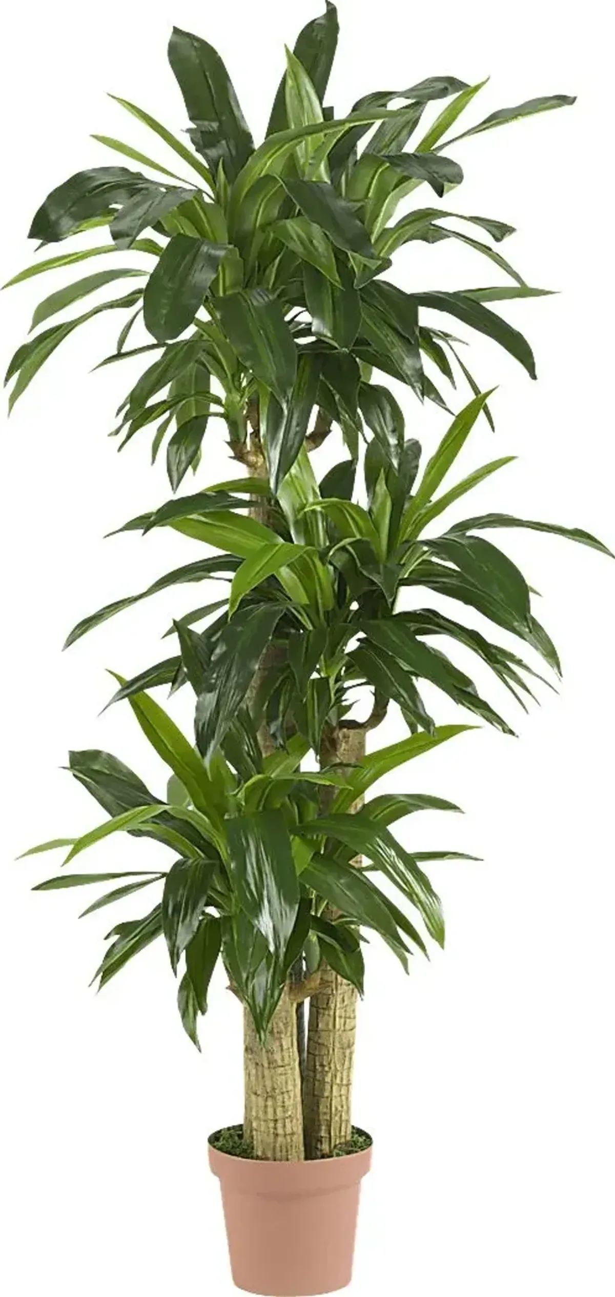 Athaliah Green Dracaena Silk Tree