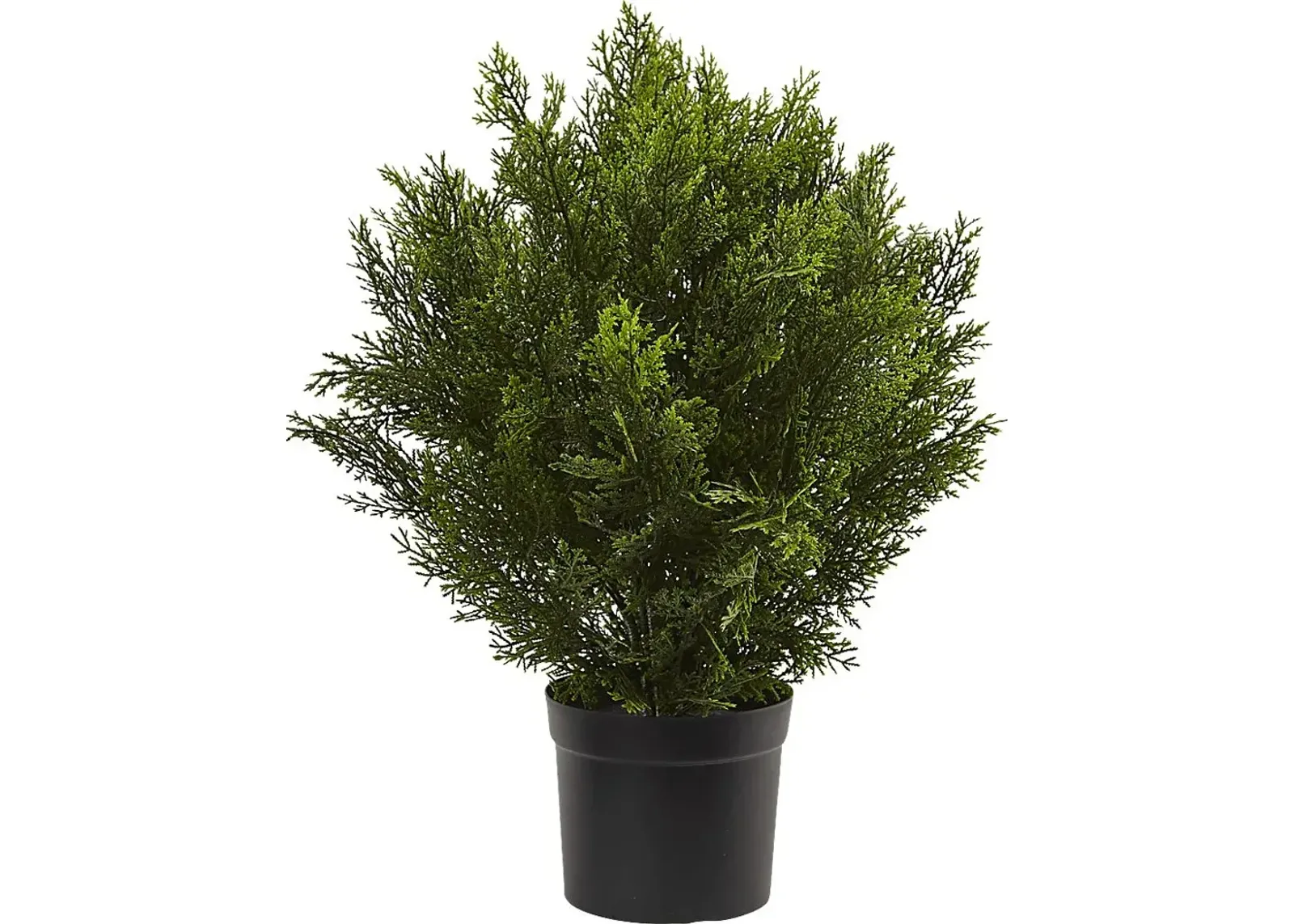 Rodel Green Cedar Indoor/Outdoor Silk Plant