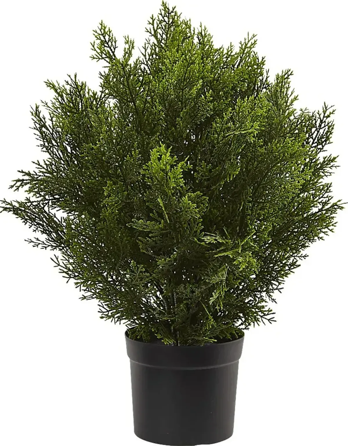 Rodel Green Cedar Indoor/Outdoor Silk Plant