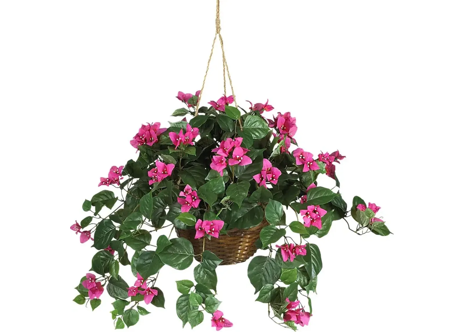 Jonelle Pink Bougainvillea Silk Plant