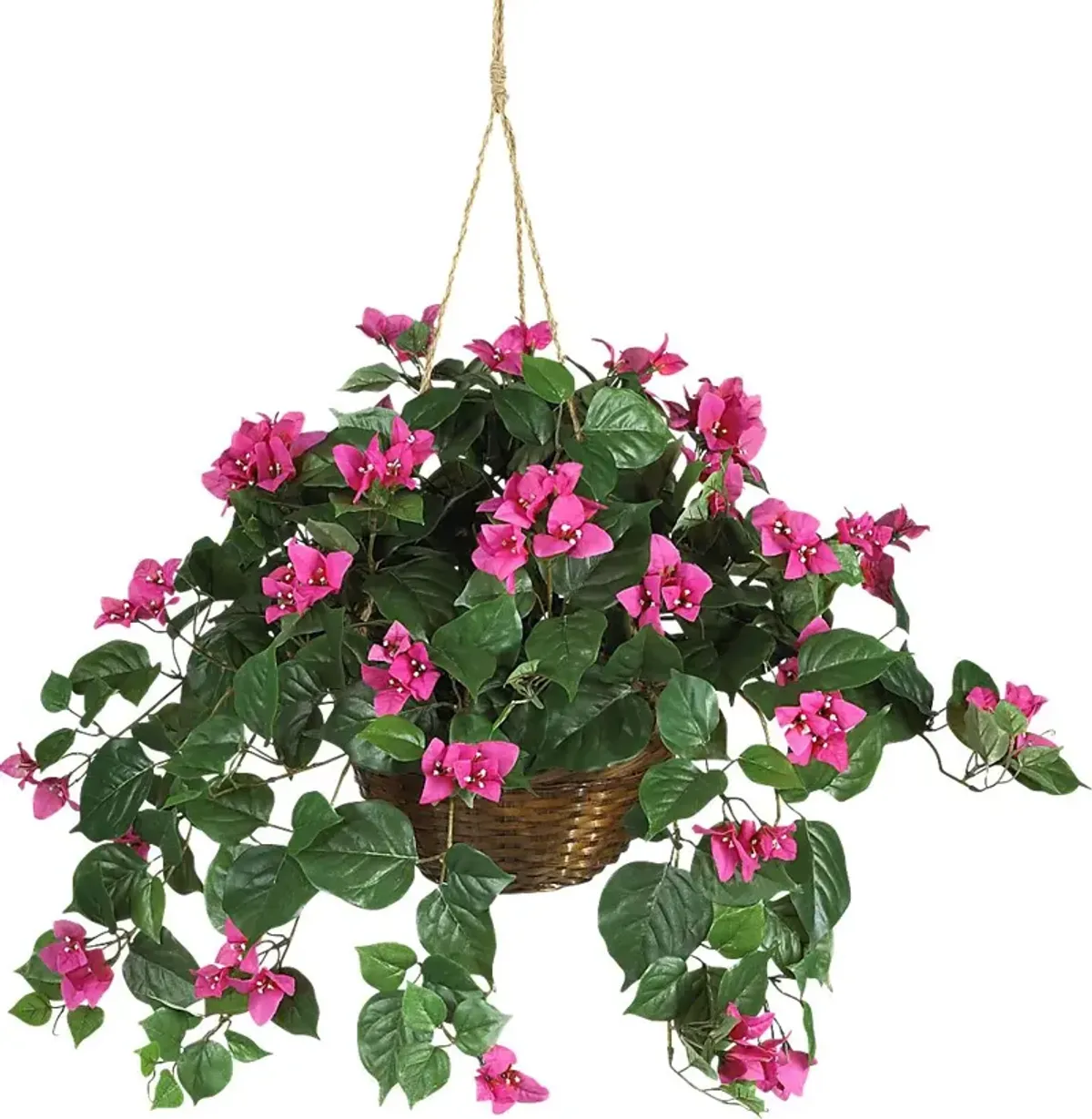 Jonelle Pink Bougainvillea Silk Plant