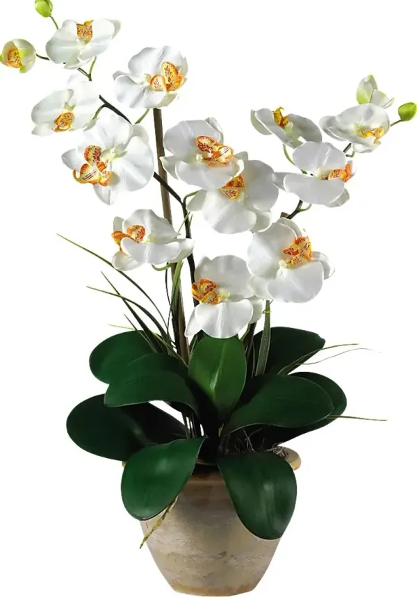Maelyn White Orchid Silk Floral