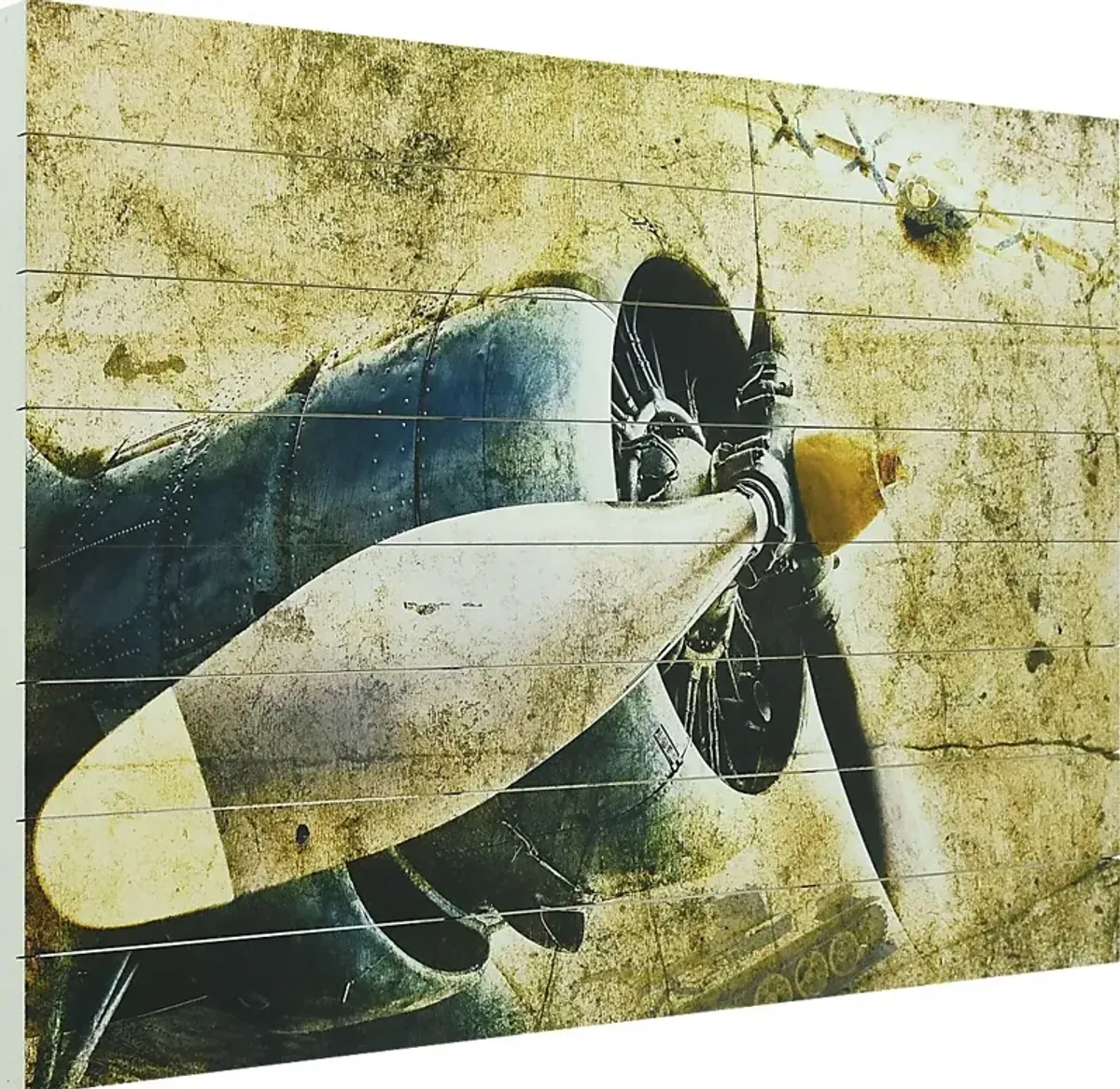 Alizeh Plane Artwork