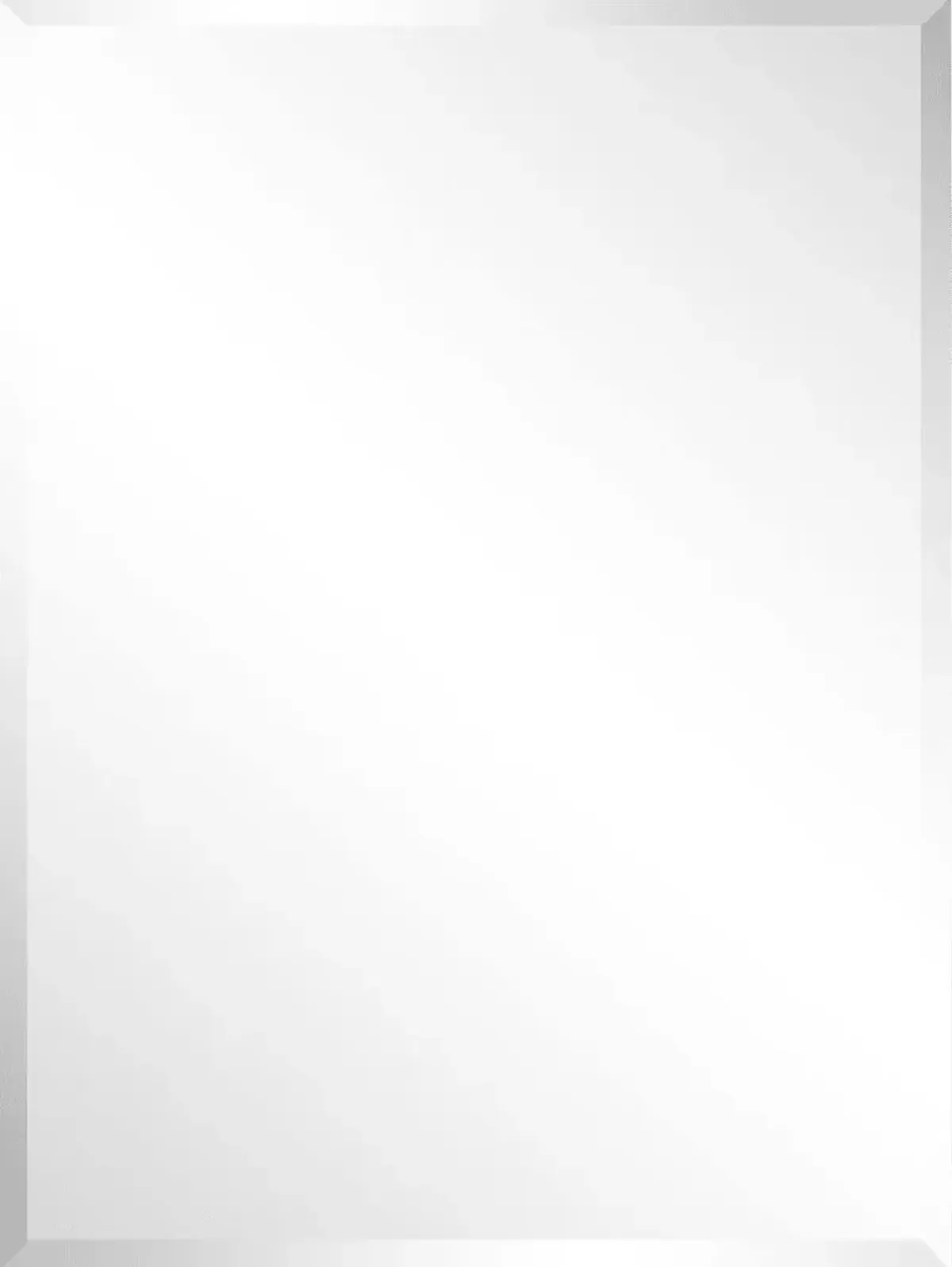 Nayda Silver Rectangle Large Mirror