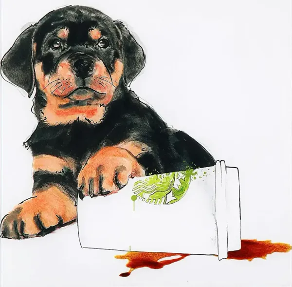 Izzy's Spill Artwork