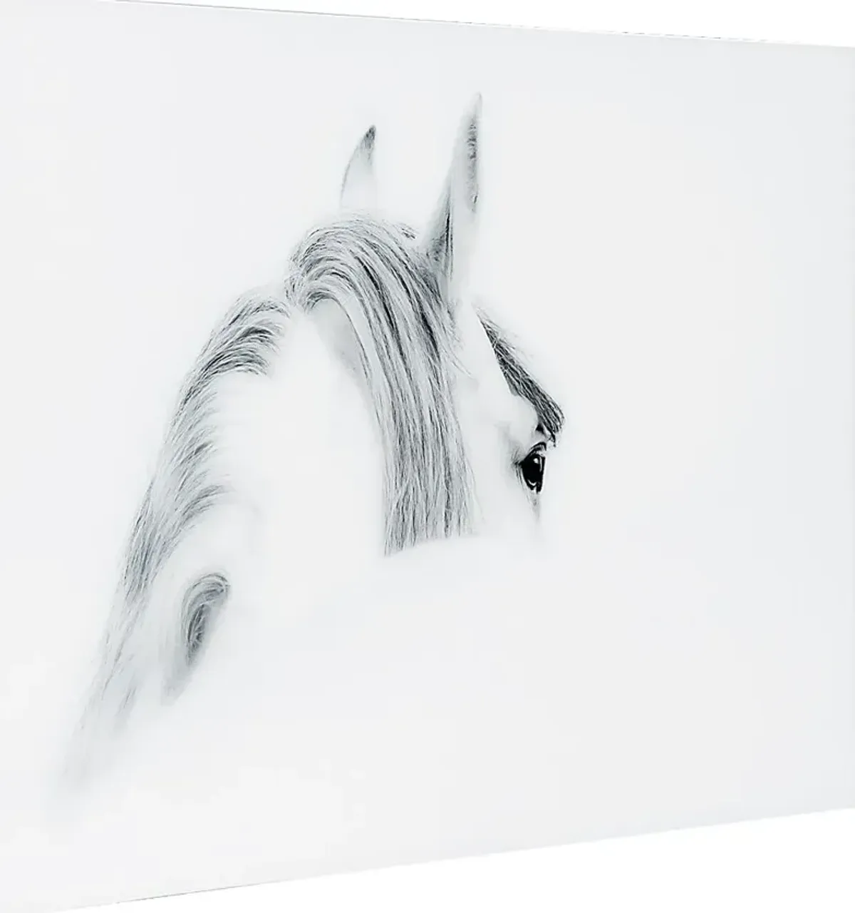 Winter Stare Artwork