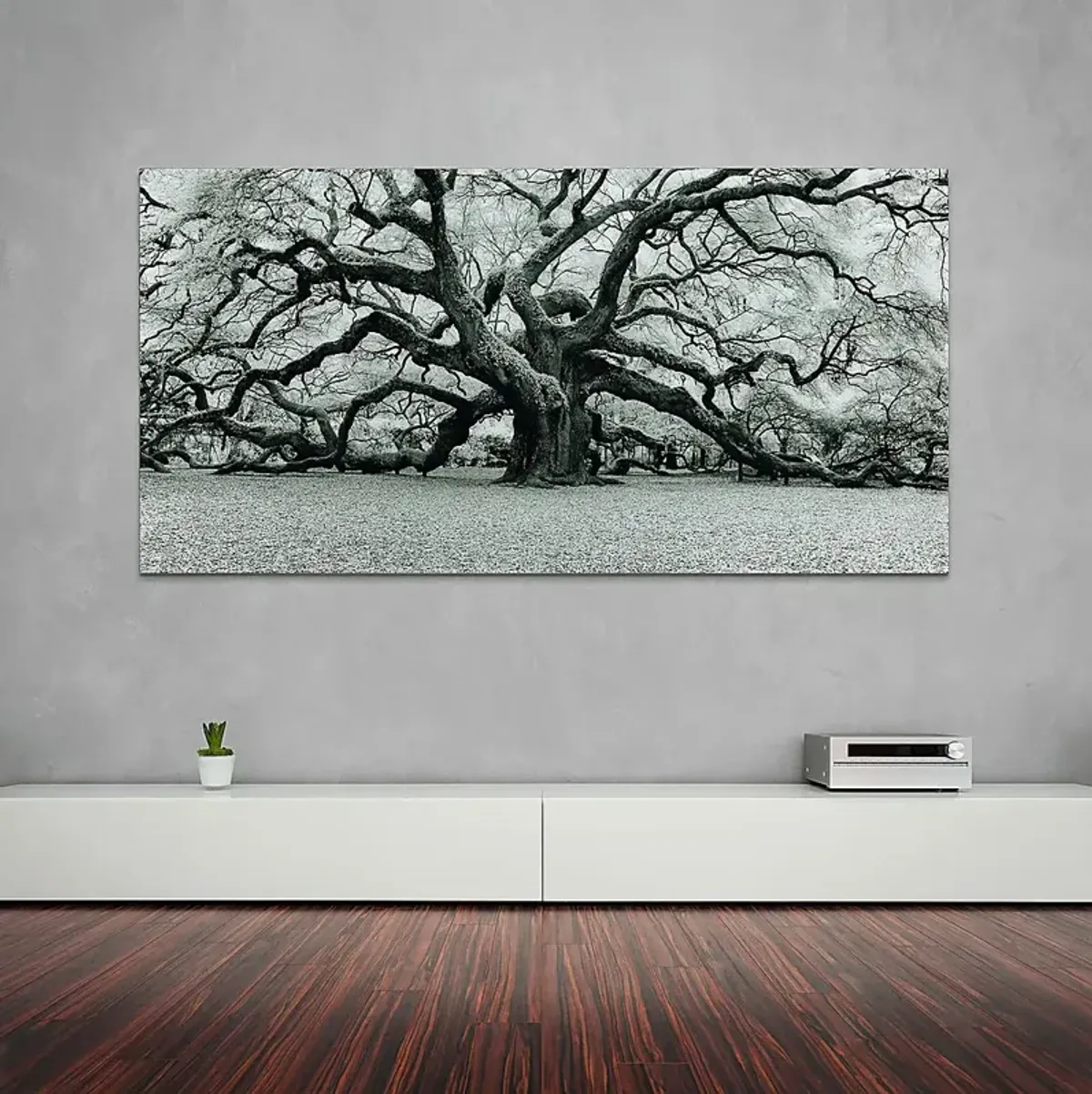 The Angel Oak Artwork