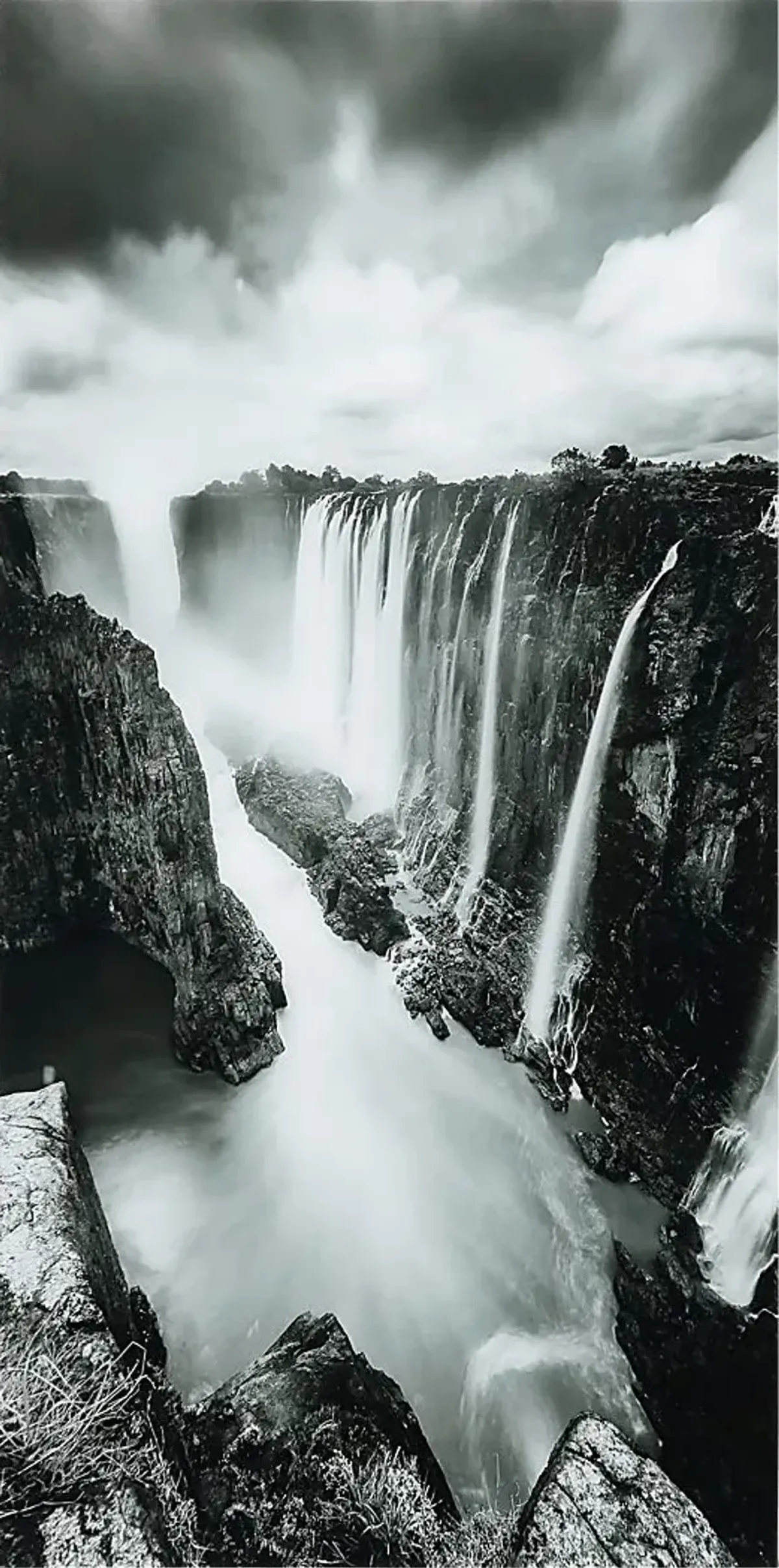 Fresh Perspective Artwork