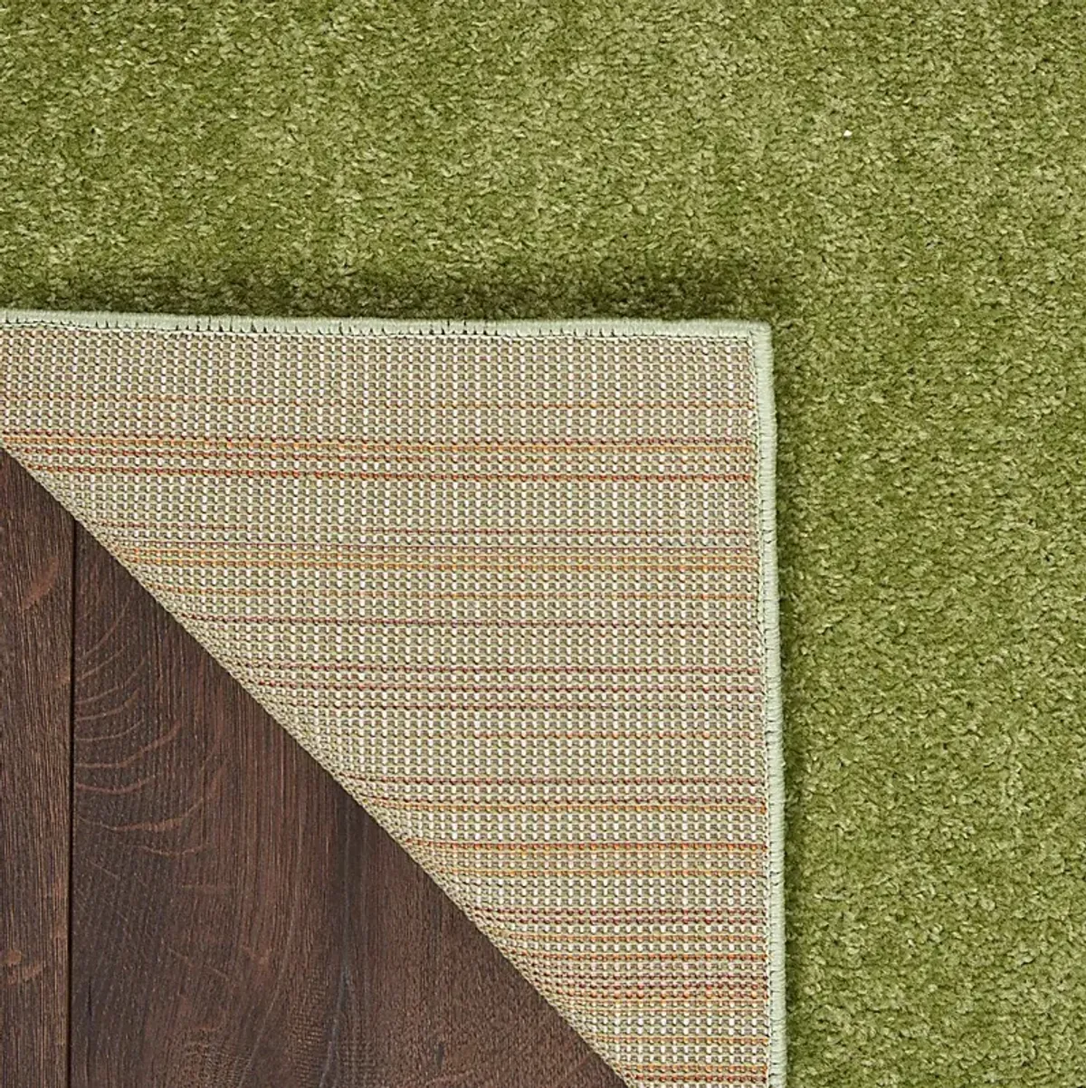 Easthagen Green 5' x 7' Indoor/Outdoor Rug