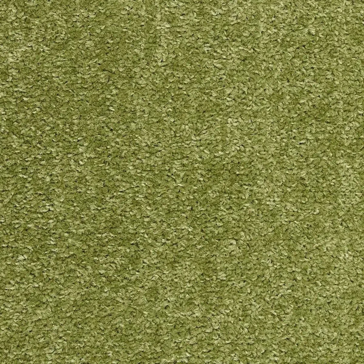 Easthagen Green 5' x 7' Indoor/Outdoor Rug