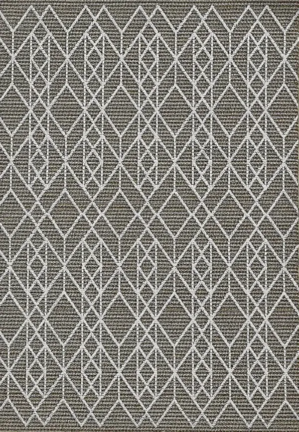 Leopole Gray 5' x 7'6 Indoor/Outdoor Rug
