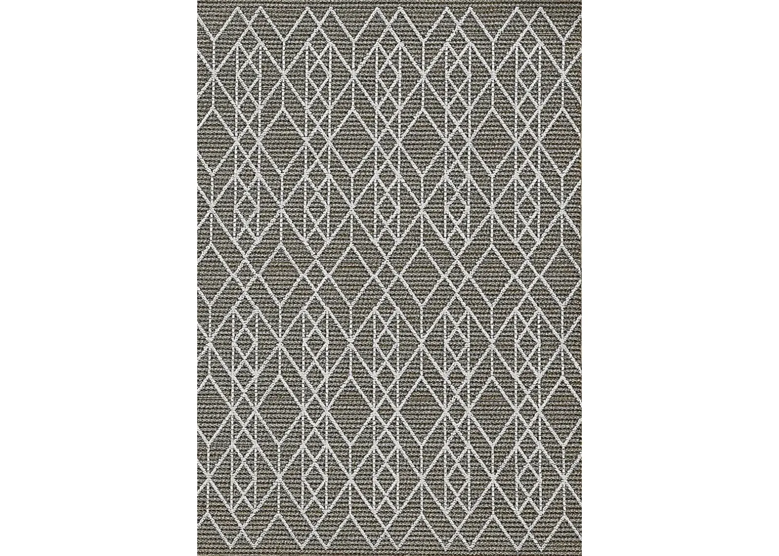 Leopole Gray 6'7 x 9'4 Indoor/Outdoor Rug